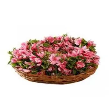 Arali Flowers arali_flowers 8-856728-21155.webp